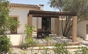 Finca Las Tortugas